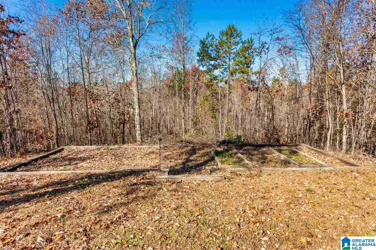 1060 Wolf Pen Ridge Road Pell City, AL 35128 - Photo 44 of 50