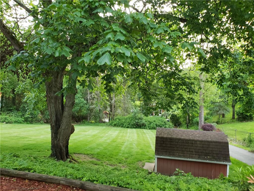 1111 Ridge Road Ambridge, PA 15003 - Photo 43 of 47 Beautiful View of Trees & Shed in Backyard - Nature Setting