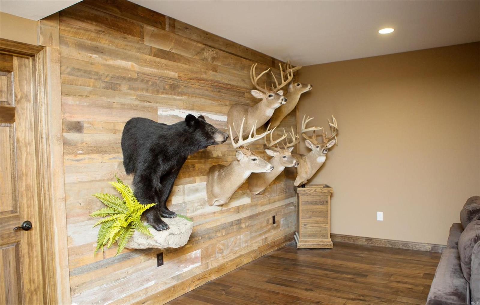 18398 Whitetail Run Road Nashville, IL 62263 - Photo 62 of 78 Gallery Image 62