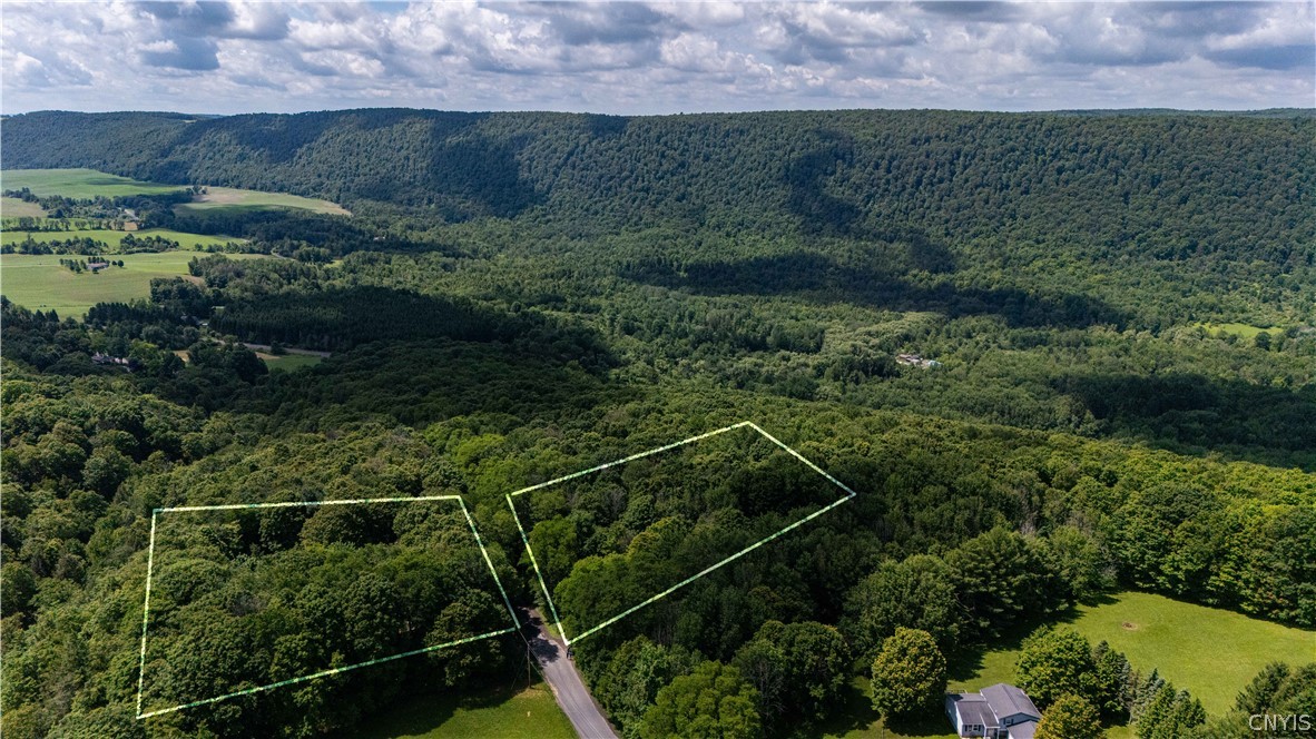 374 Strong Road Tully, NY 13159 - Photo 42 of 48