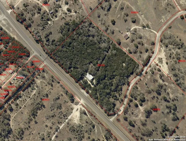 a close up of a plant in a garden