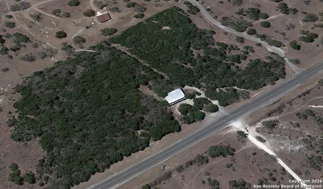 a view of a yard with plants