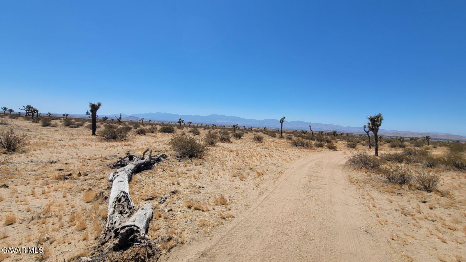 L8 197th Street East Lancaster, CA 93535 - Photo 2 of 6 a view of a beach with a snow on the beach