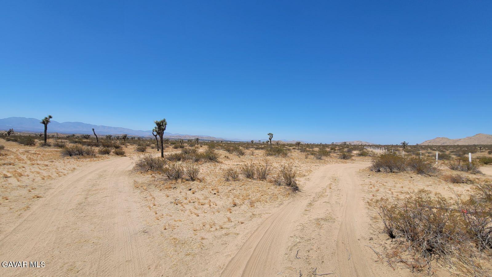 L8 197th Street East Lancaster, CA 93535 - Photo 3 of 6 a view of a snow on the beach