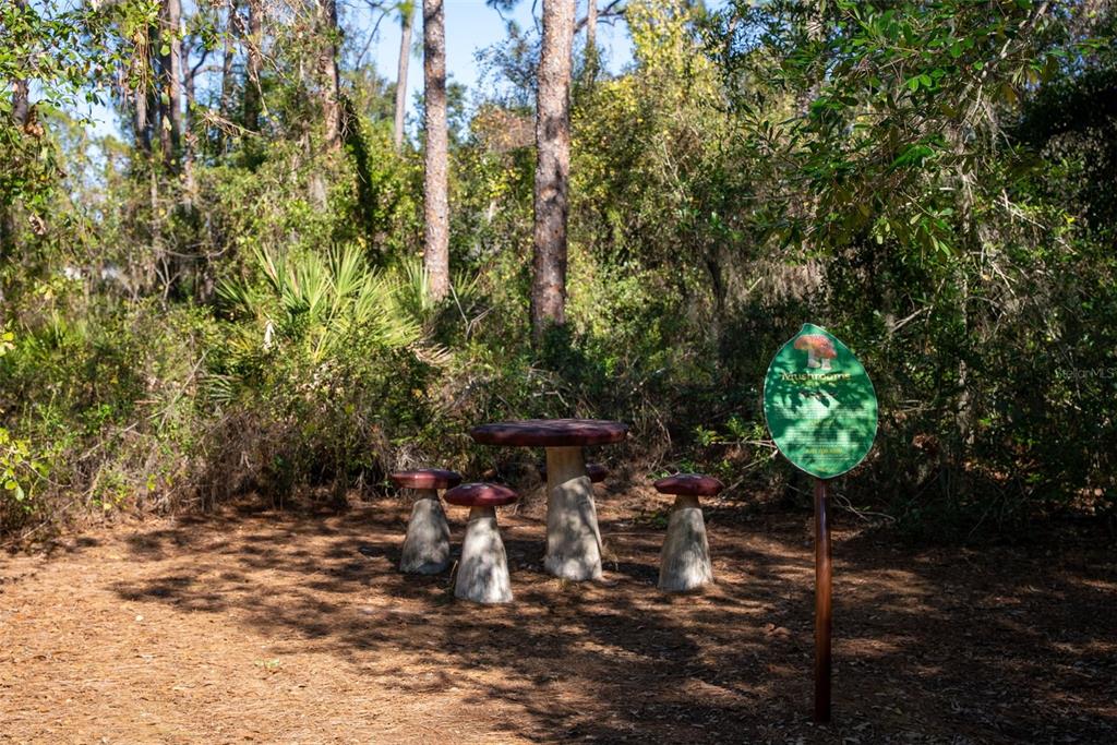 8111 Santa Rosa Court Sarasota, FL 34243 - Photo 77 of 95