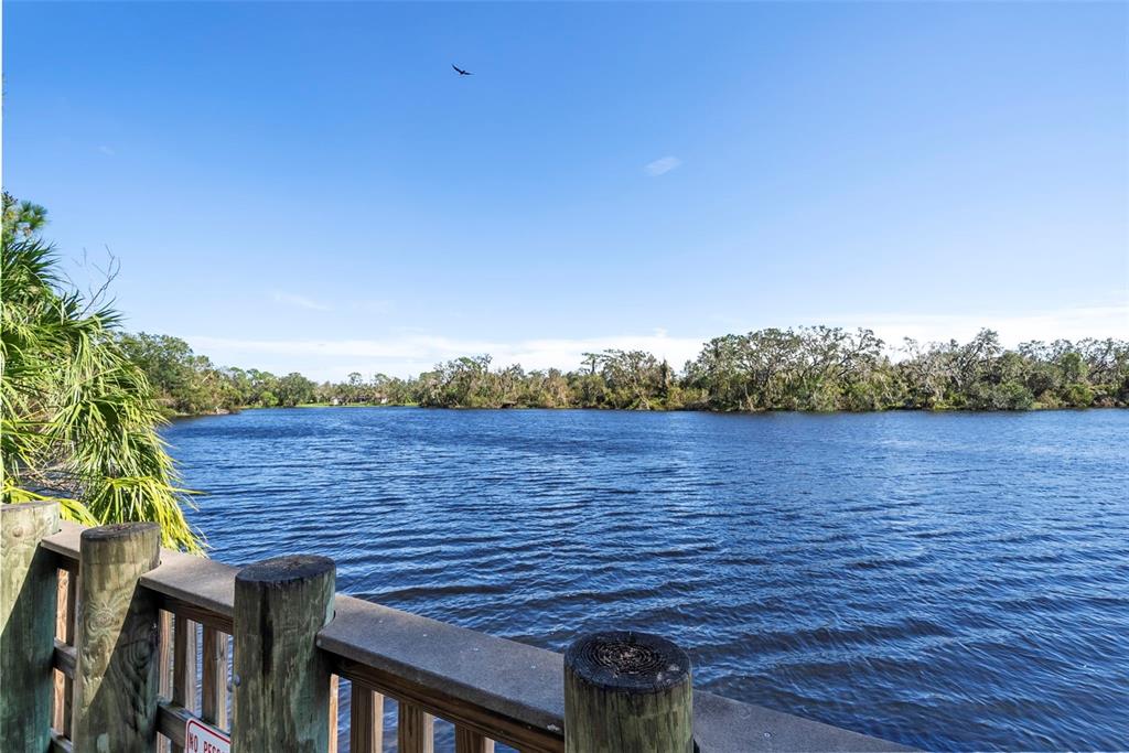 8111 Santa Rosa Court Sarasota, FL 34243 - Photo 81 of 95