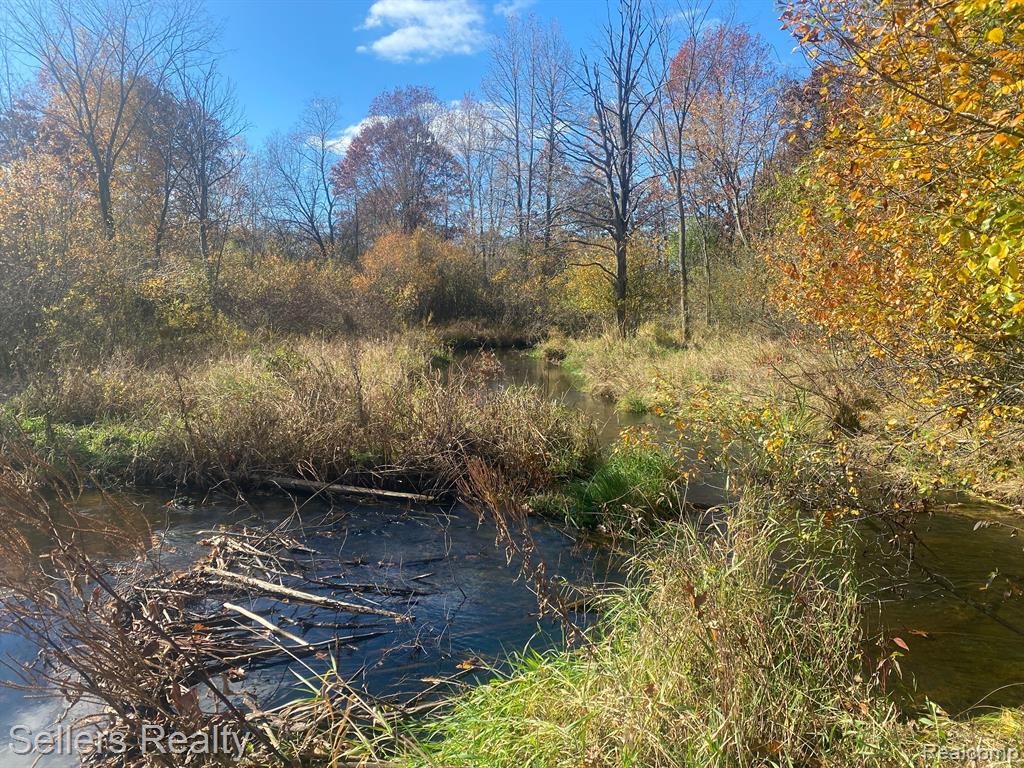 0 Groveland Road Ortonville, MI 48462 - Photo 8 of 11