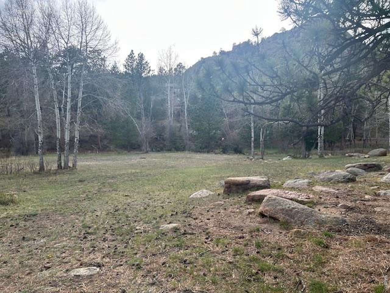 Old Ranger Drive Estes Park, CO 80517 - Photo 12 of 22 a backyard of a house with lots of green space