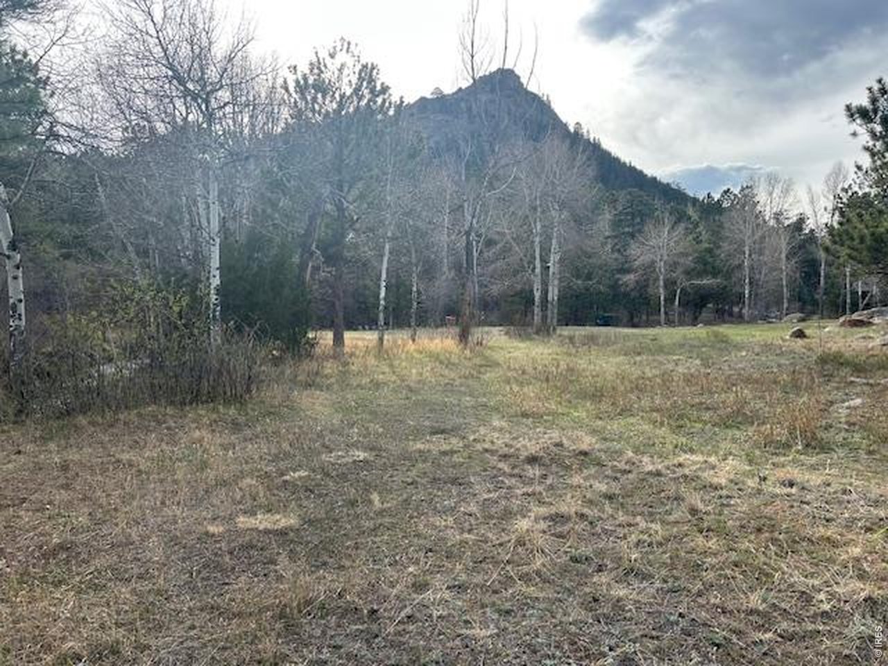 Old Ranger Drive Estes Park, CO 80517 - Photo 14 of 22 a view of outdoor space with green space