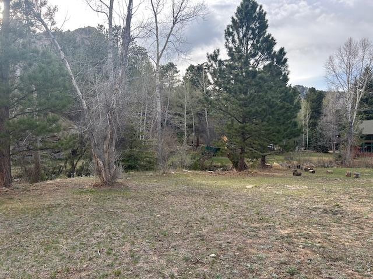 Old Ranger Drive Estes Park, CO 80517 - Photo 18 of 22 a view of a backyard with large trees