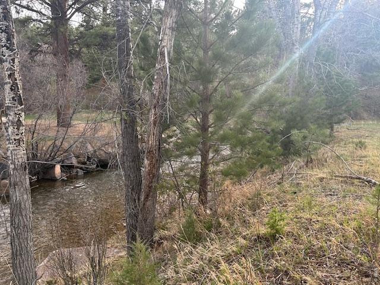 Old Ranger Drive Estes Park, CO 80517 - Photo 20 of 22 a view of a forest with trees in the background