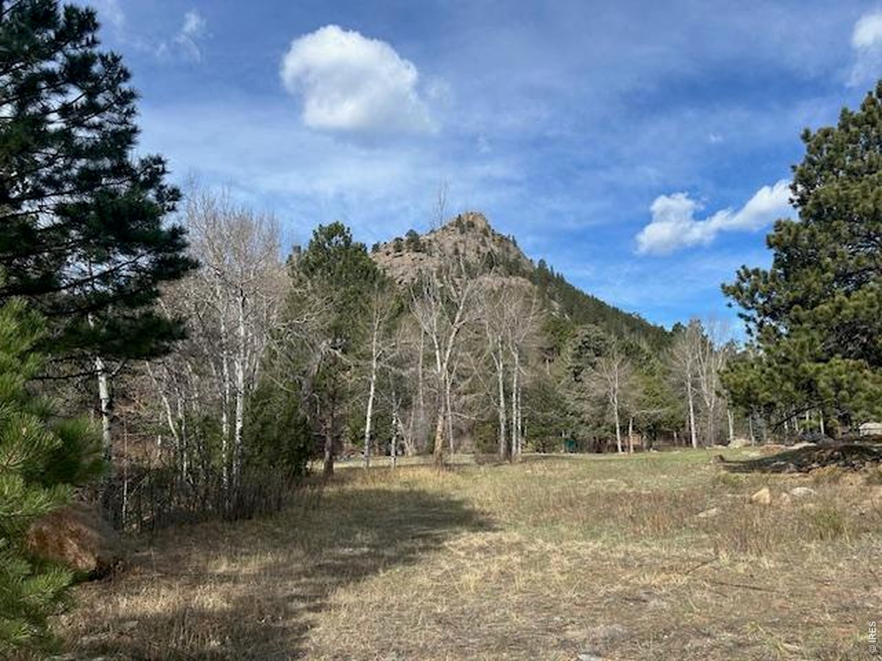 Old Ranger Drive Estes Park, CO 80517 - Photo 2 of 22 a view of a yard with a tree