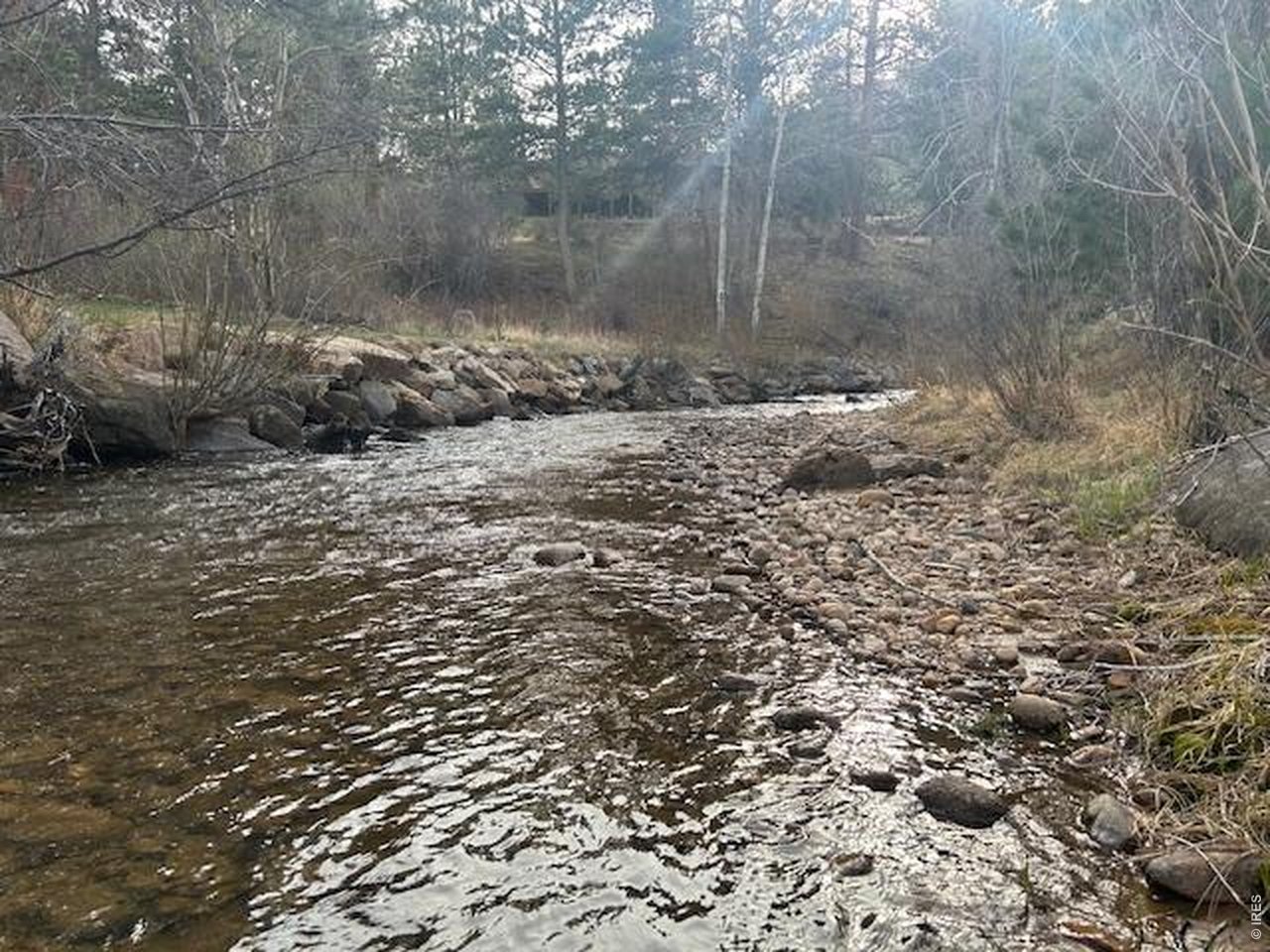 Old Ranger Drive Estes Park, CO 80517 - Photo 5 of 22 a view of a backyard of a house