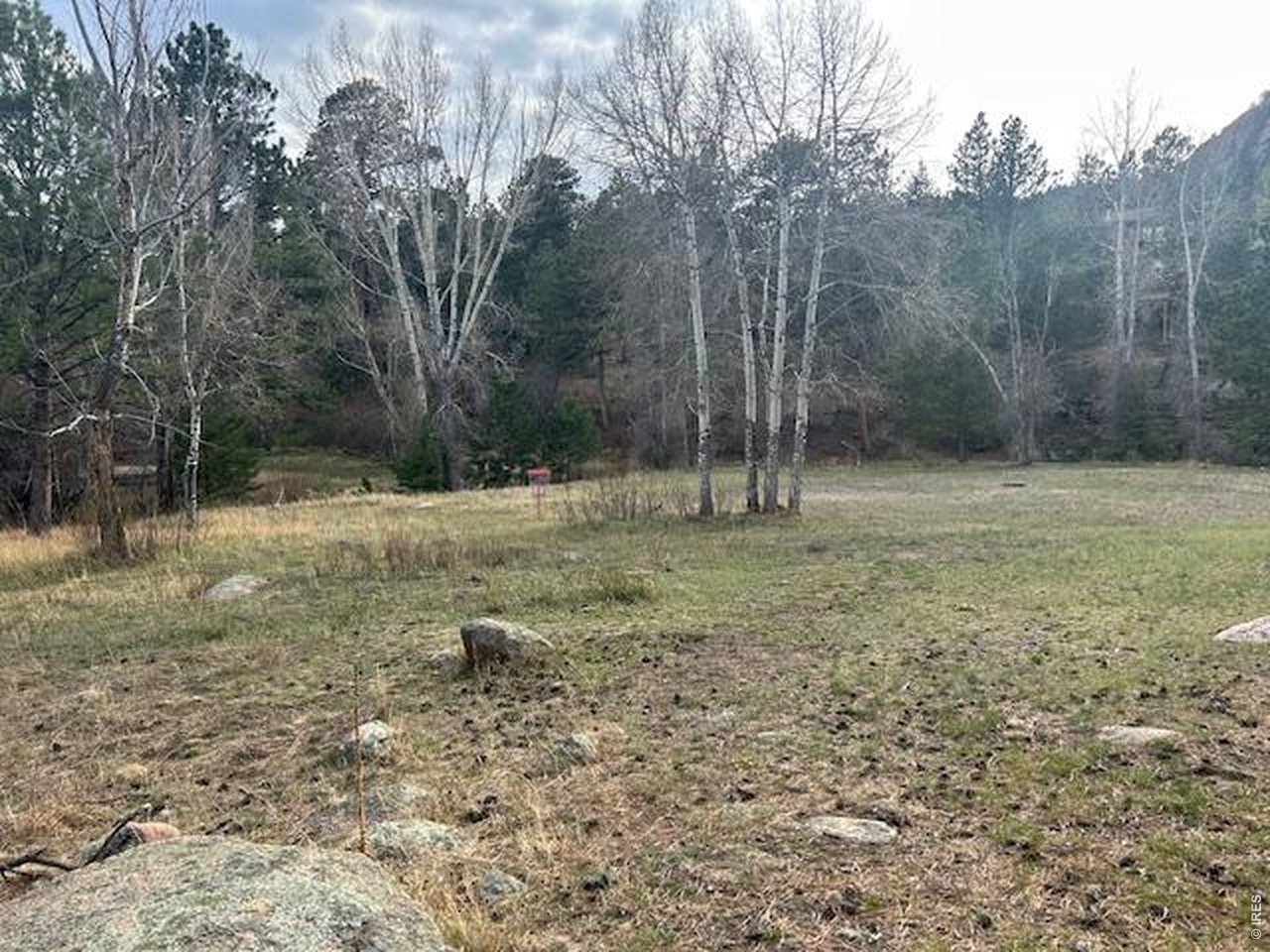Old Ranger Drive Estes Park, CO 80517 - Photo 7 of 22 a backyard of a house with lots of green space
