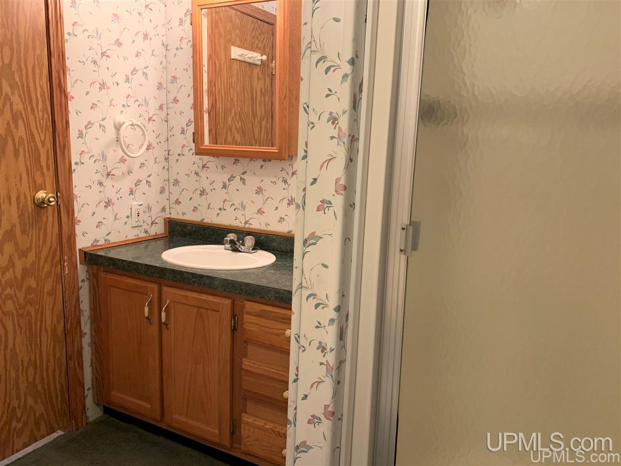4414 10th Road Bark River, MI 49807 - Photo 15 of 16