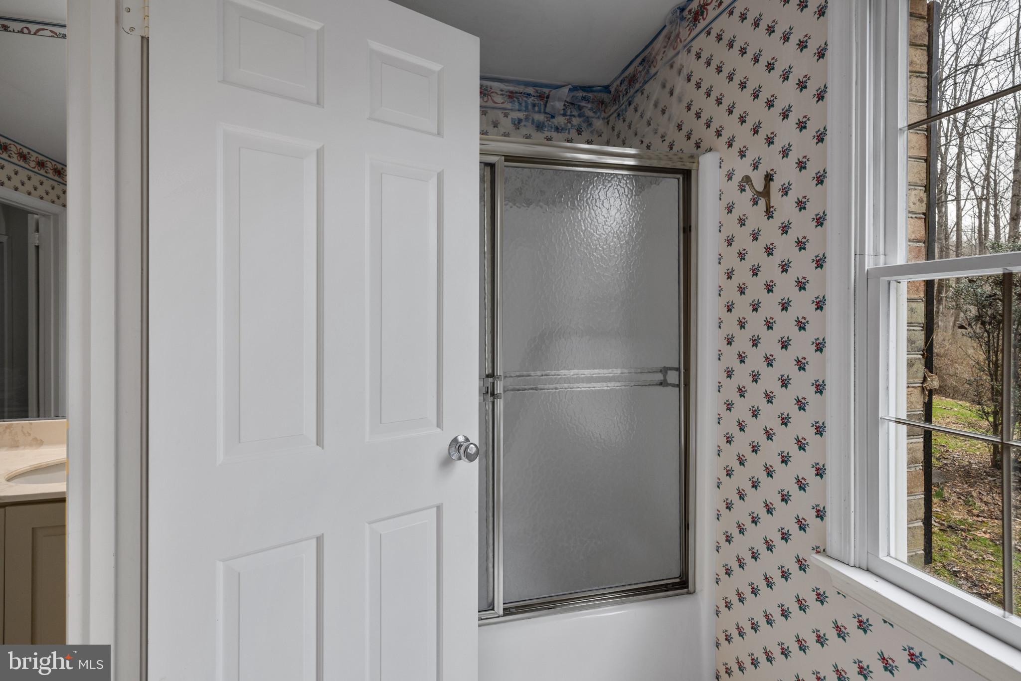 13413 Bladon Road Phoenix, MD 21131 - Photo 44 of 66 Enclosed Shower in Lower Level bath