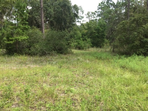 5002 Puckett Road, Unit 1 Perry, FL 32348 - Photo 1 of 11