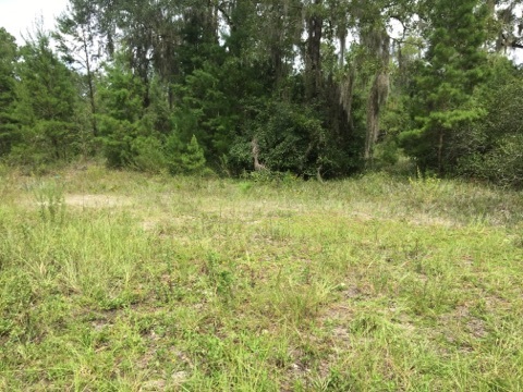 5002 Puckett Road, Unit 1 Perry, FL 32348 - Photo 2 of 11