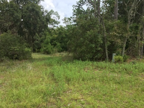 5002 Puckett Road, Unit 1 Perry, FL 32348 - Photo 3 of 11