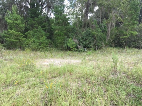 5002 Puckett Road, Unit 1 Perry, FL 32348 - Photo 4 of 11