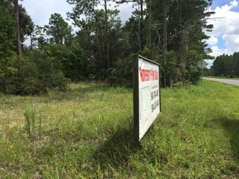 5002 Puckett Road, Unit 1 Perry, FL 32348 - Photo 5 of 11