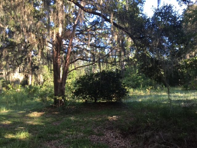 5002 Puckett Road, Unit 1 Perry, FL 32348 - Photo 8 of 11