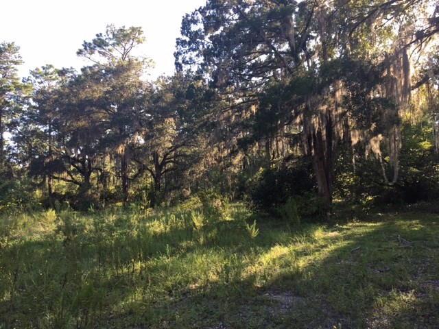 5002 Puckett Road, Unit 1 Perry, FL 32348 - Photo 10 of 11