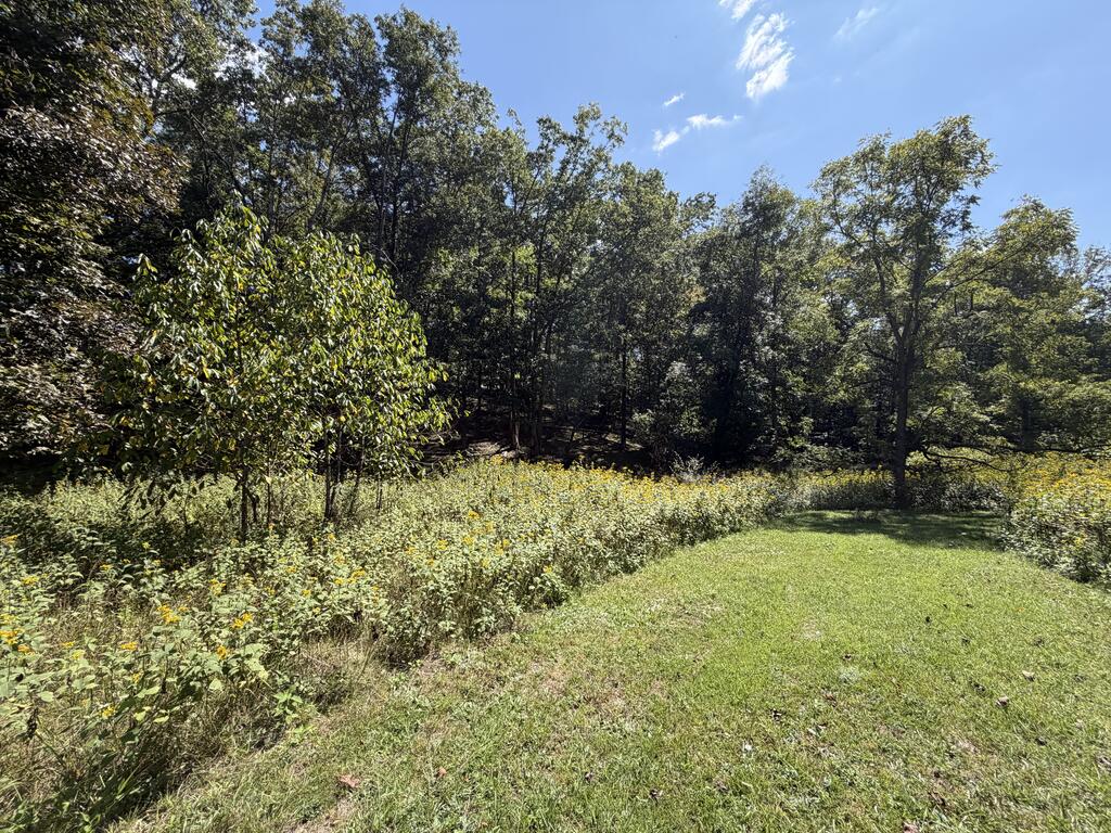 2443 Bruce Allen Road Hinton, WV 25951 - Photo 56 of 75 Gallery Image 56