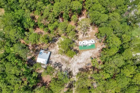 a view of a yard with a tree