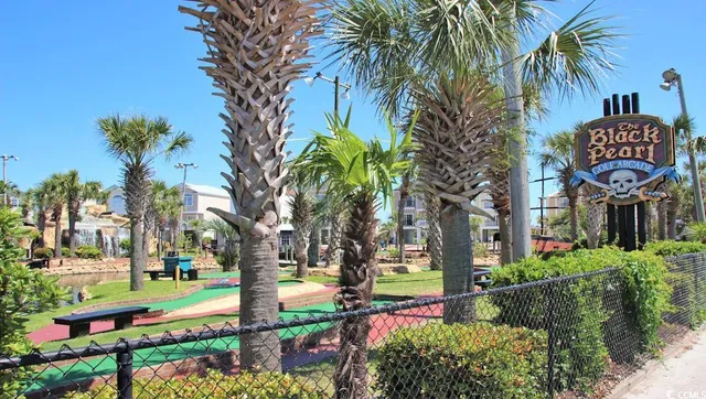 $309,965 | 172 Pampa Drive, Loris, SC 29569