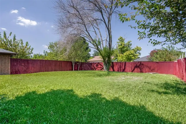 a view of a yard with an tree