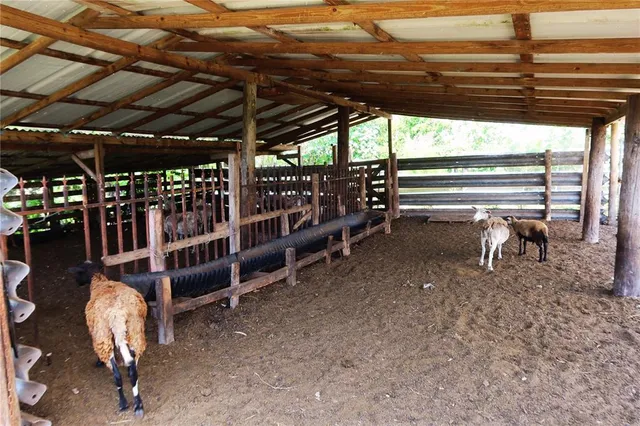 a view of backyard with tub