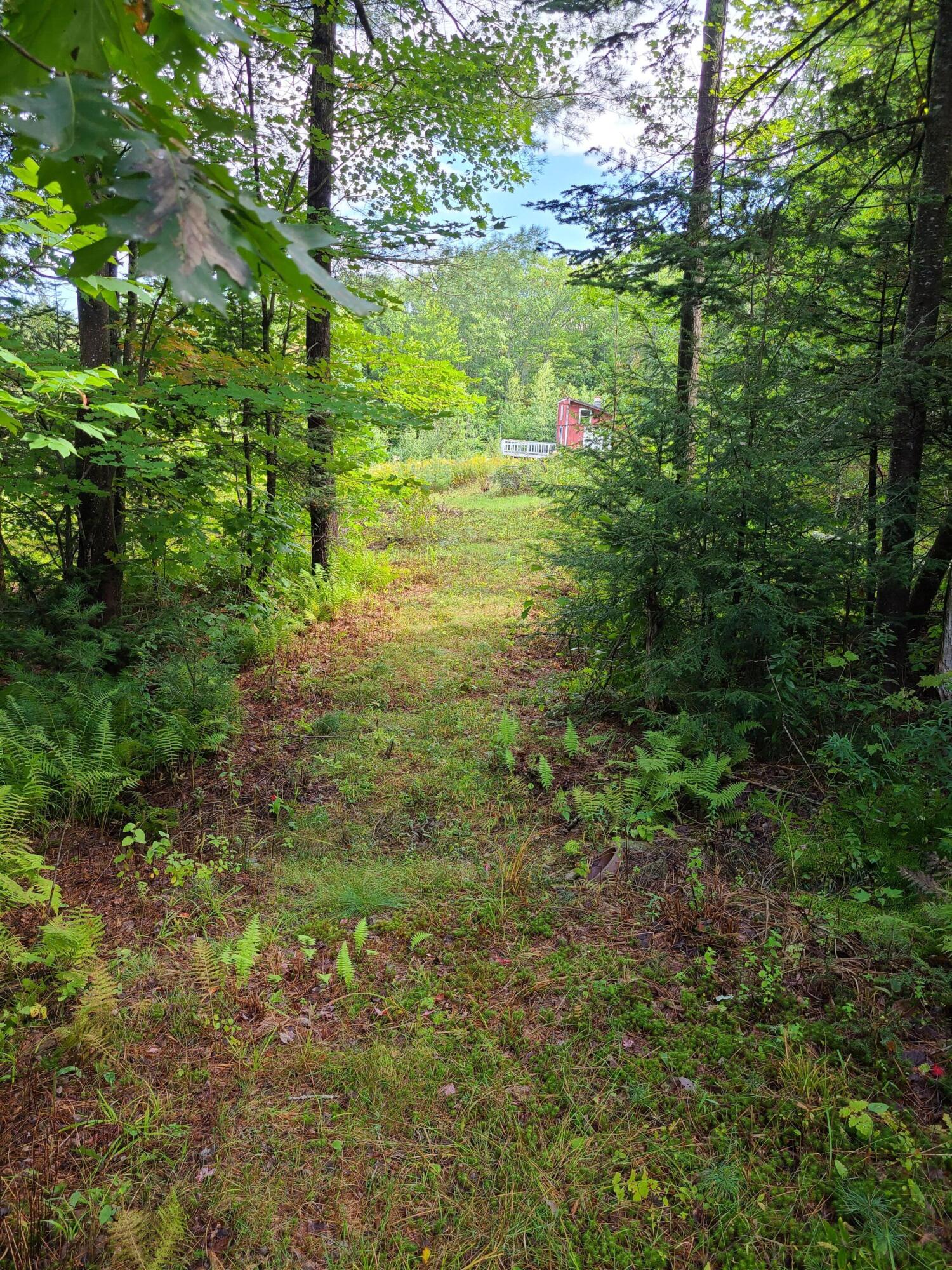 0 Farrand Hill Road Canton, ME 04221 - Photo 41 of 43 20210910_113859