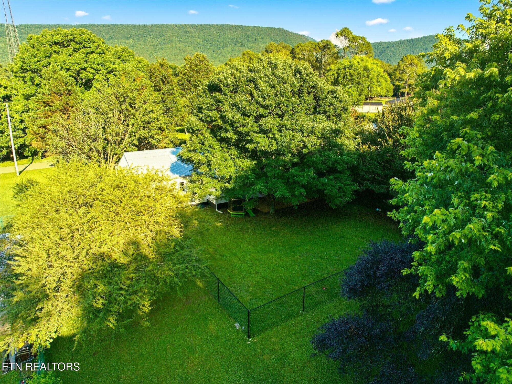 159 Mill Street Delano, TN 37325 - Photo 22 of 22 a view of a garden