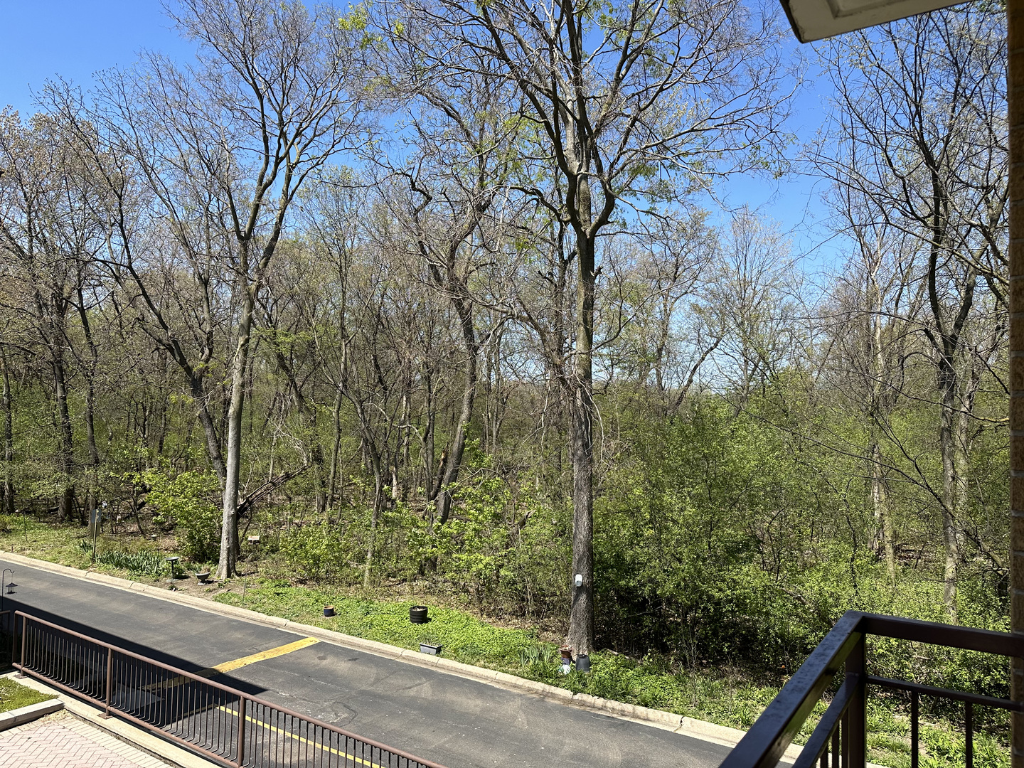 2420 West Talcott Road, Unit 211 Park Ridge, IL 60068 - Photo 23 of 28 a view of a wooden deck and a forest