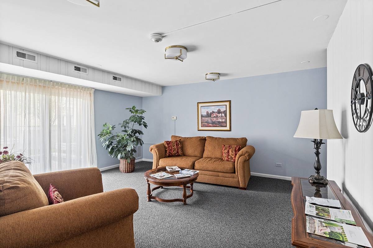 2420 West Talcott Road, Unit 211 Park Ridge, IL 60068 - Photo 27 of 28 a living room with furniture and a window