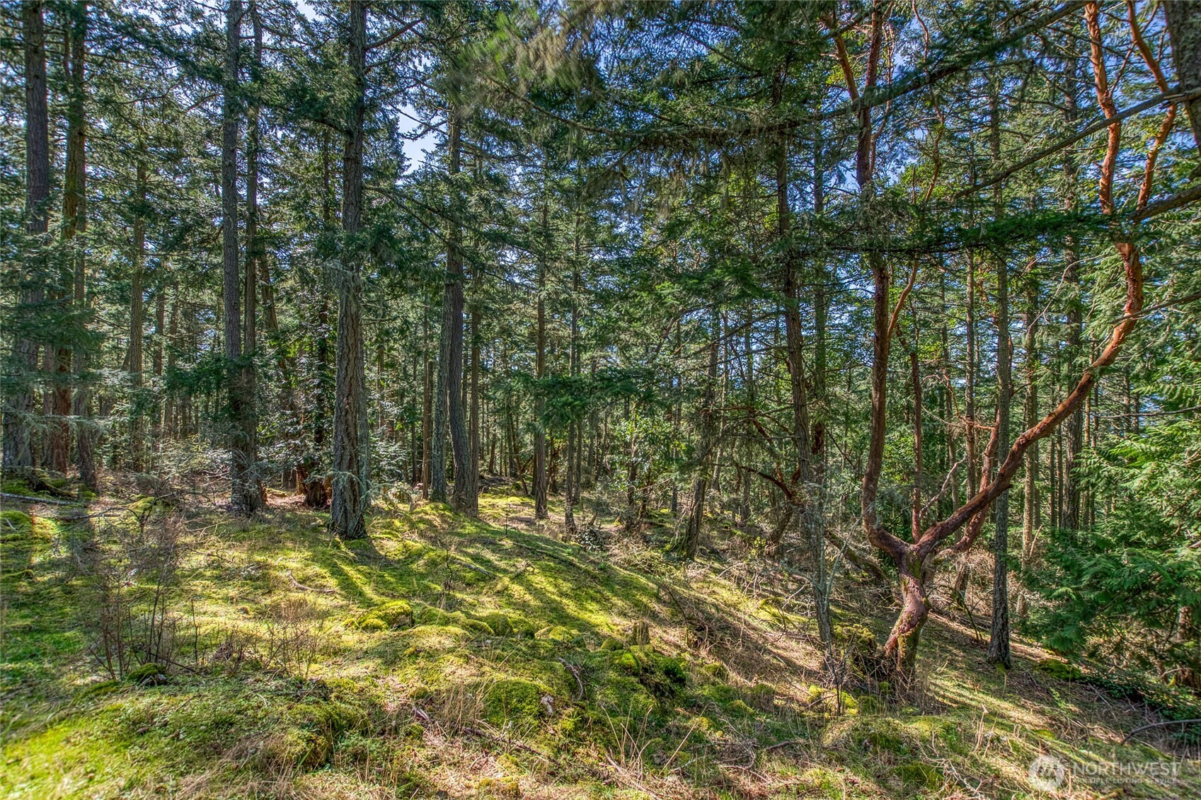 424 Logan's Run Road Orcas Island, WA 98245 - Photo 37 of 39