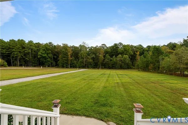 a view of a big yard with a large trees