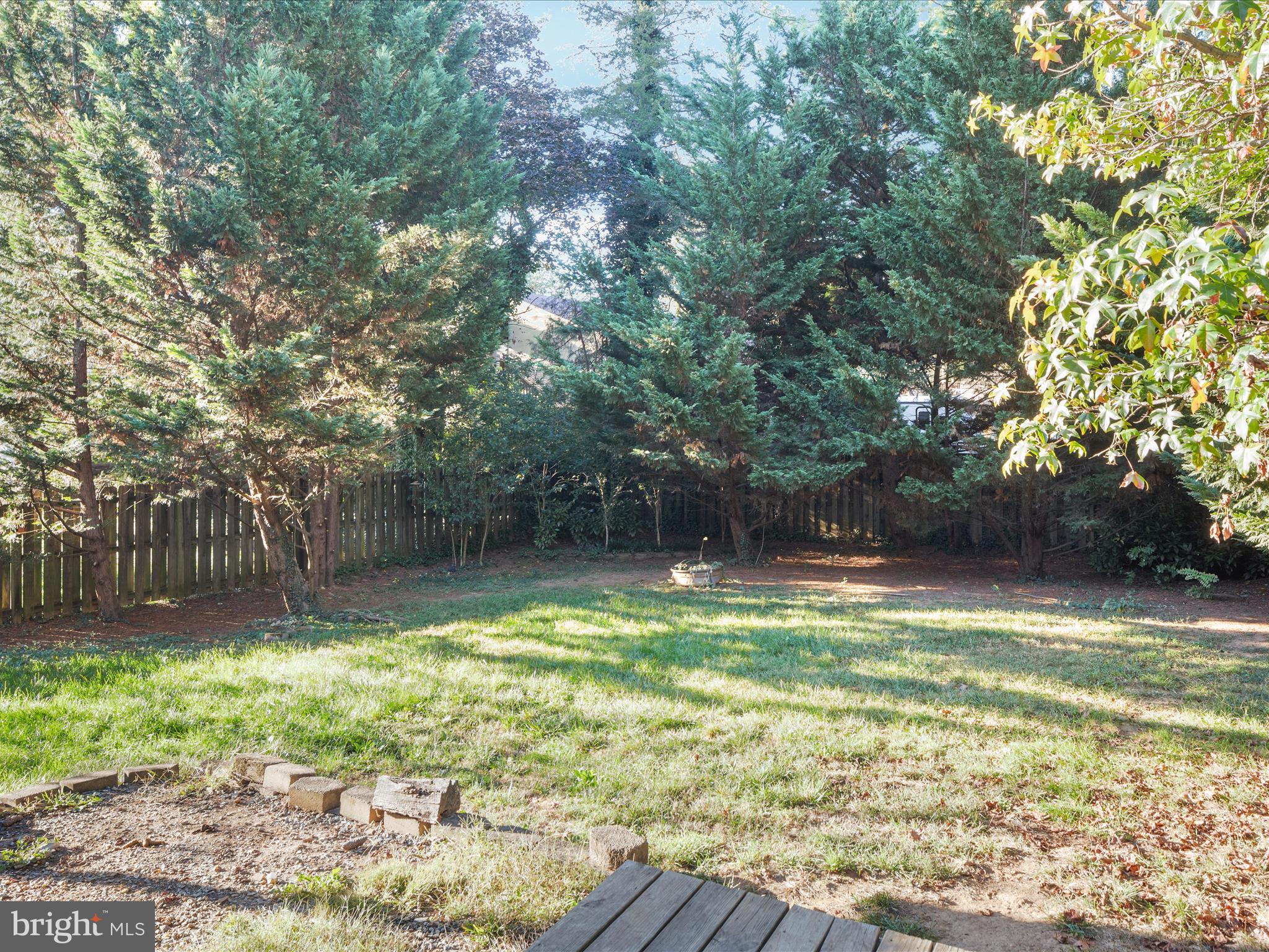 227 Miller Street Winchester, VA 22601 - Photo 46 of 51 a view of a backyard with a small cabin