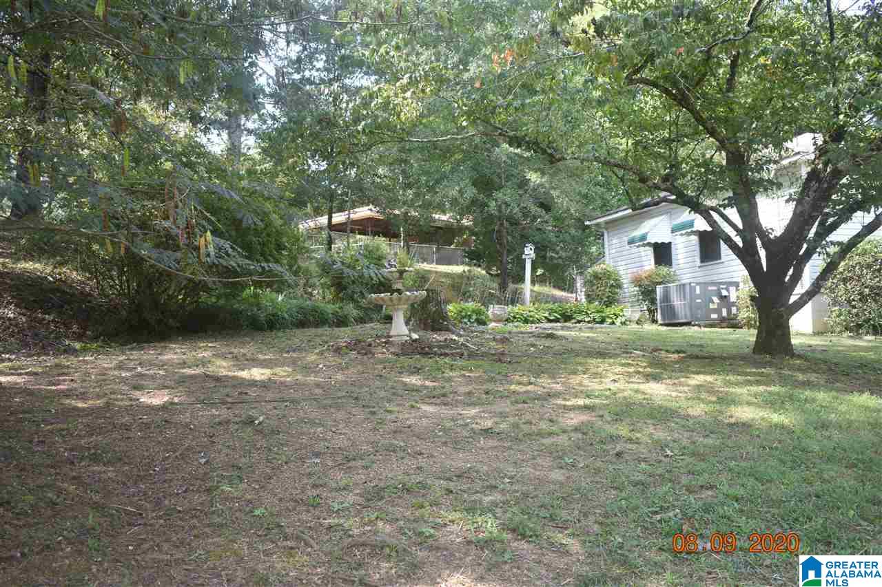 2485 Warrior Trafford Road Trafford, AL 35172 - Photo 8 of 16