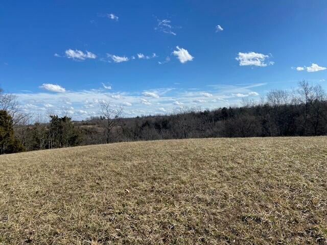 384 Pinhook Road Mount Olivet, KY 41064 - Photo 15 of 21 Gallery Image 15