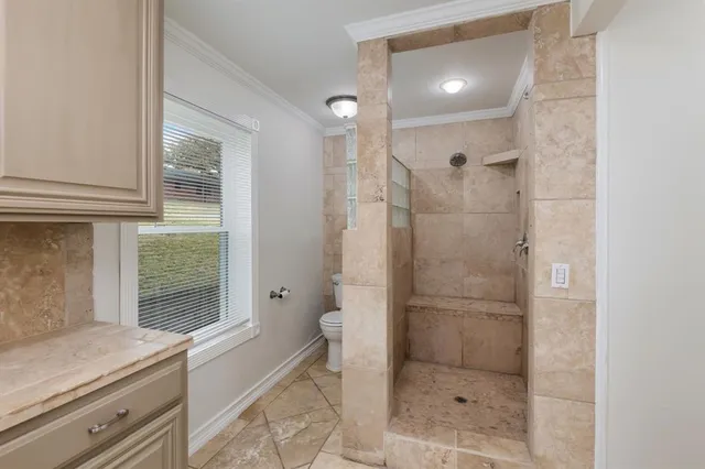 a bathroom with a shower and toilet