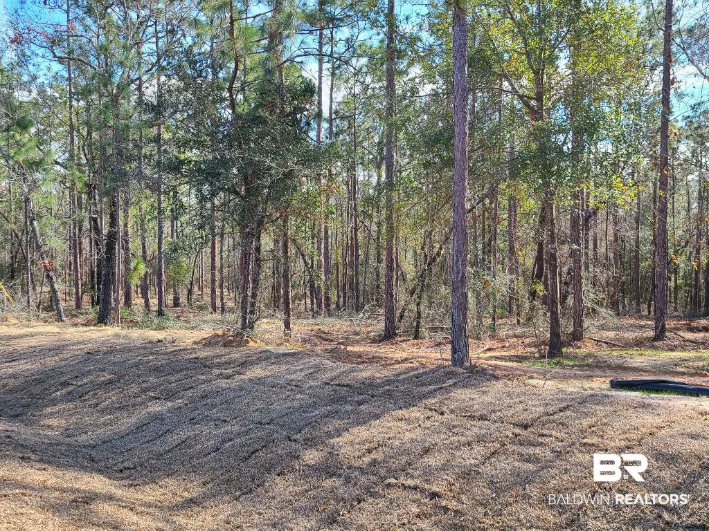 9880 Bromley Road Daphne, AL 36527 - Photo 5 of 6