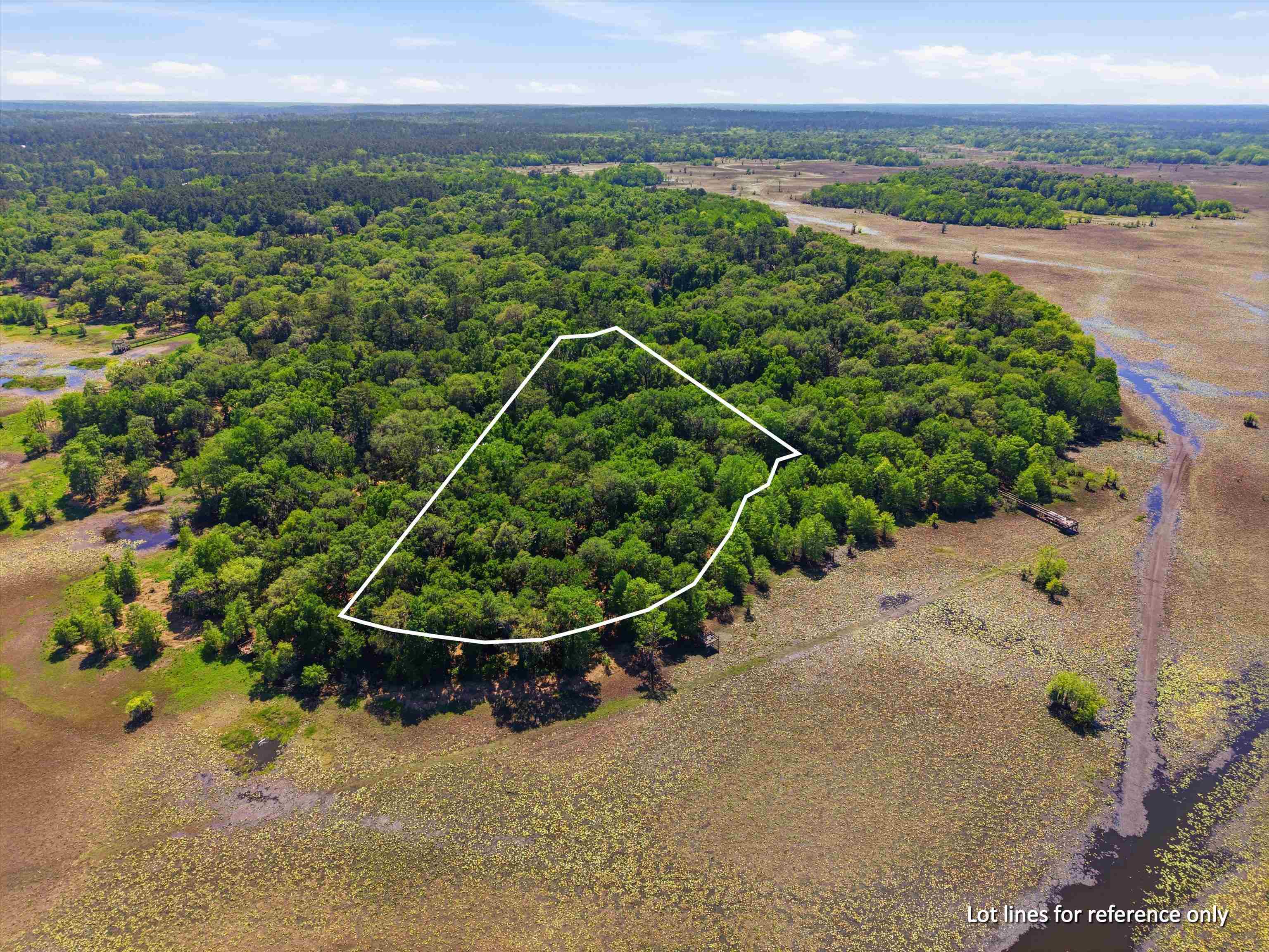 10945 Luna Point Road Tallahassee, FL 32312 - Photo 63 of 70