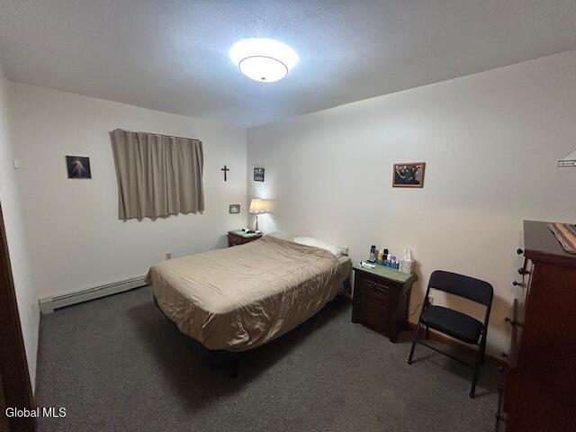 7 Maplehurst Drive Brunswick, NY 12180 - Photo 12 of 22 IMG_4262