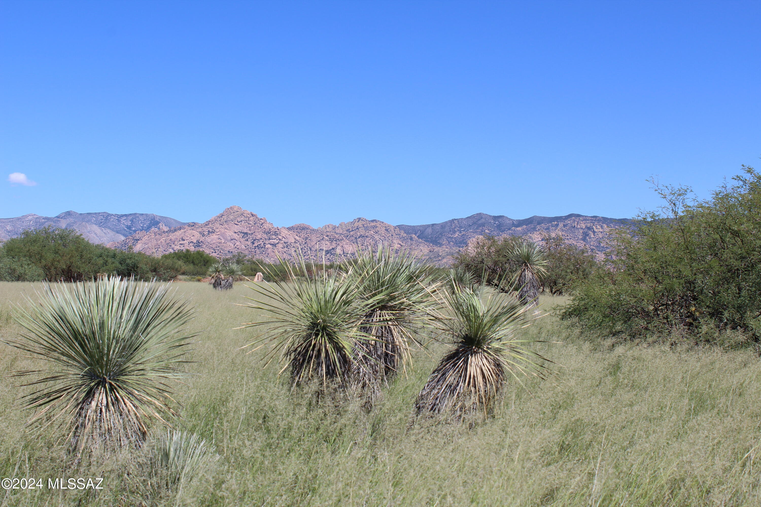 Tbd East Naiche Road, Unit 56 St. David, AZ 85630 - Photo 1 of 17