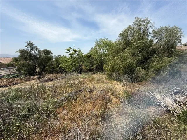 a view of a field with trees in the background