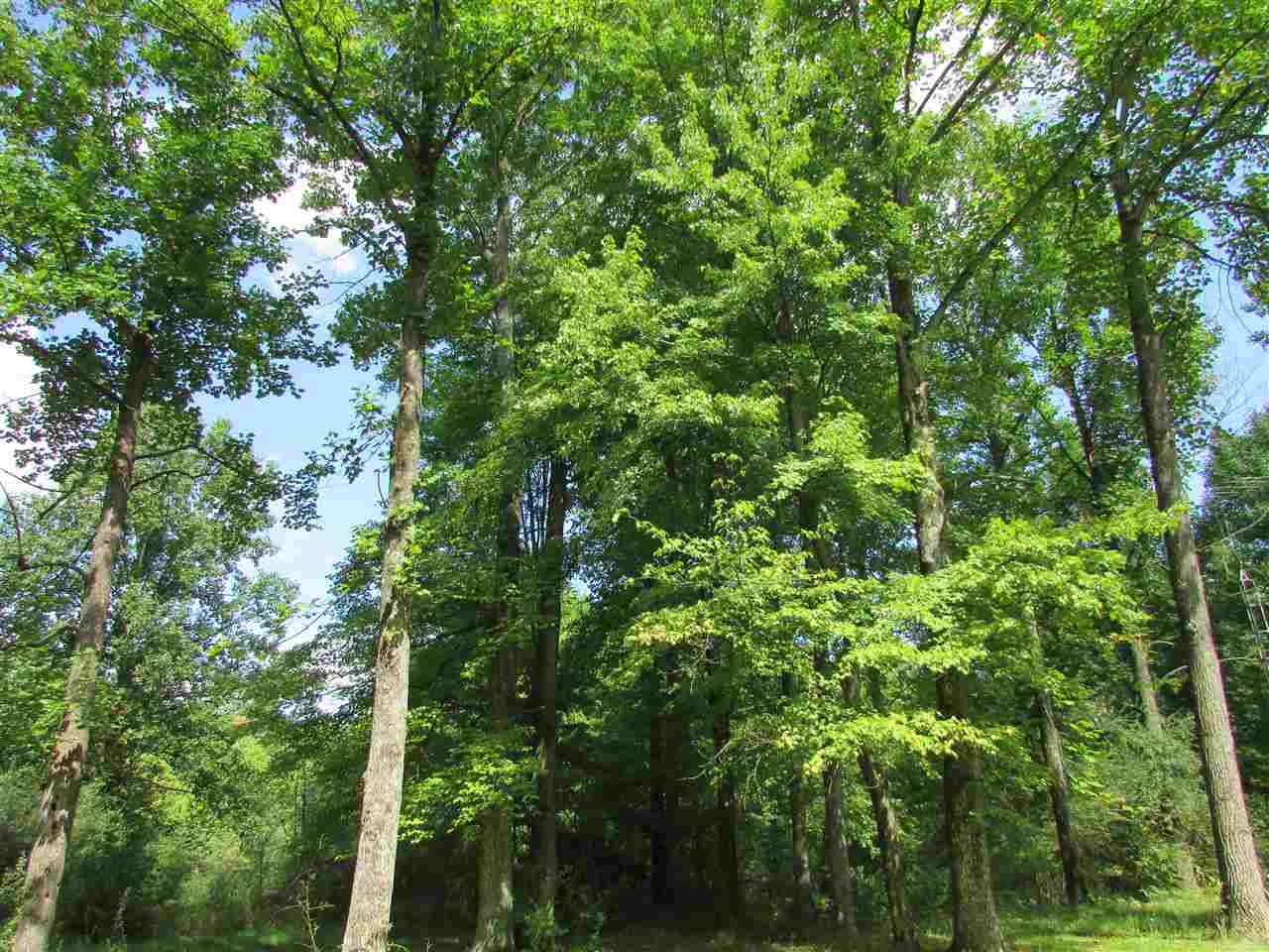 6824 Shilo Road Unionville, IN 47468 - Photo 14 of 26