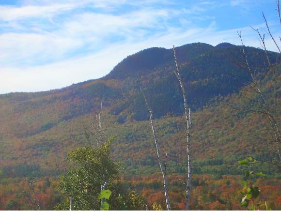 49 Parker Ridge Road Bartlett, NH 03838 - Photo 1 of 4