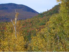 49 Parker Ridge Road Bartlett, NH 03838 - Photo 2 of 4